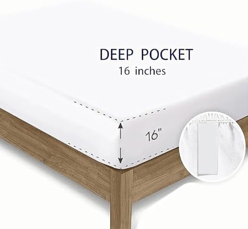 Whale Jellyfish Shark Sea Creature Sheet Set 4Pcs Queen