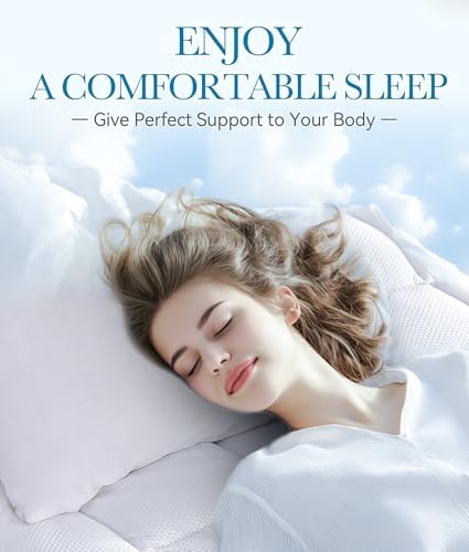 BDEUS 3 Inch Dual Layer Mattress Topper Twin Size