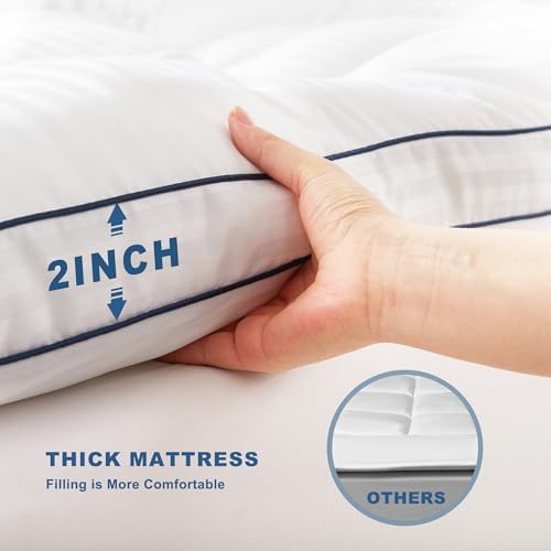 BEDLORE Twin Mattress Topper for Back Pain Relief