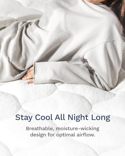 ViscoSoft King Fiberfill Pillow Top Mattress Topper