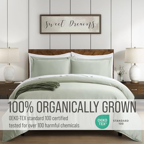 Bella Coterie Bamboo Viscose Queen Duvet Cover Set