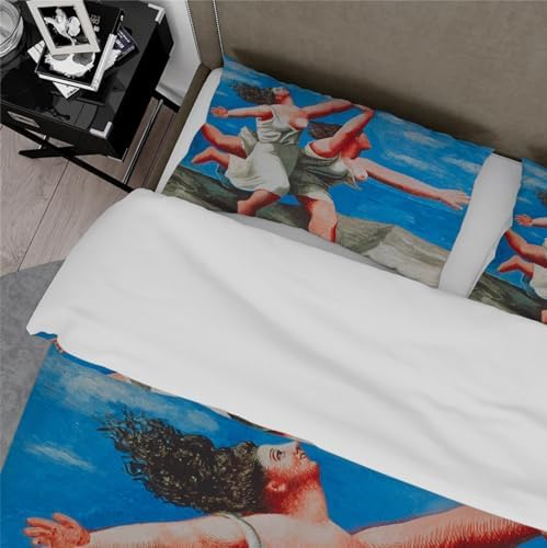 HOBBOY Microfiber Duvet Cover Set 3 pcs Picasso Aesthetic Twin XL