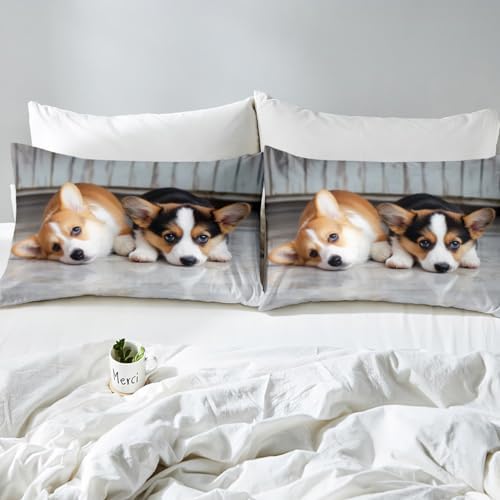 Erosebridal Corgi Duvet Cover Set Queen Size 1