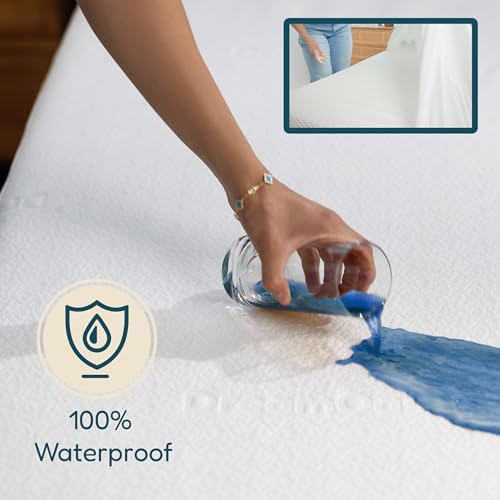 DreamOasis Waterproof Queen Mattress Protector - Bamboo Viscose Soft Breathable