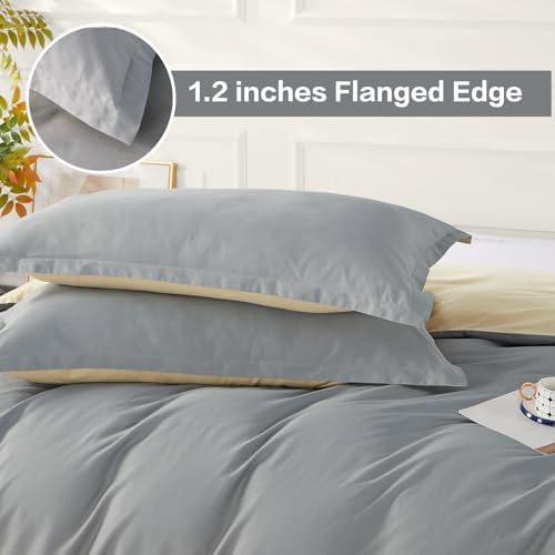 SAPHREAS Grey Duvet Cover Set Twin Size 2 Pieces