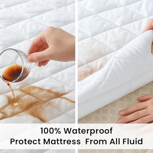 Cotton Passion Waterproof Mattress Protector for Adults and Kids