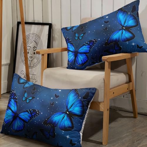 Blue Butterfly Kids Sheets Set 4Pcs