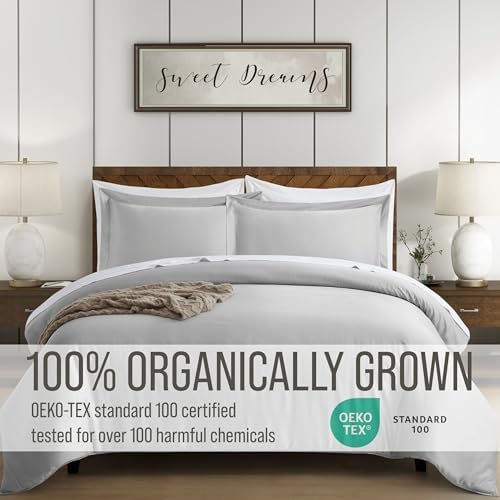 Bella Coterie Bamboo Viscose Queen Duvet Cover Set Grey Mist