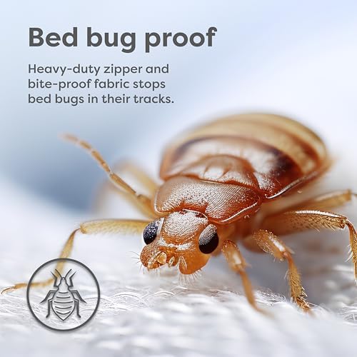 Hospitology Mattress Encasement - California King 12 Depth Zippered Waterproof Stretchable