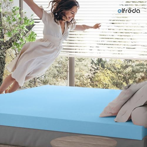 Elfreda 3 Inch Twin Mattress Topper for Pressure Relief