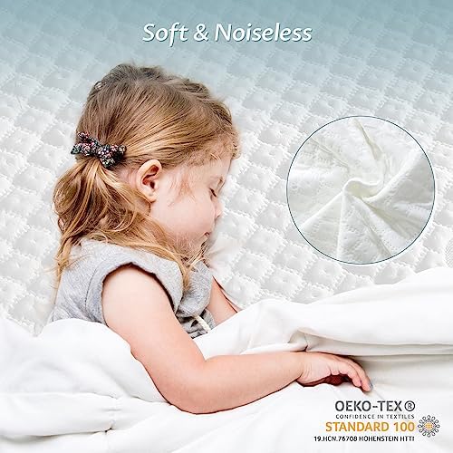 Reaks Queen Mattress Protector with Zipper 100 Waterproof