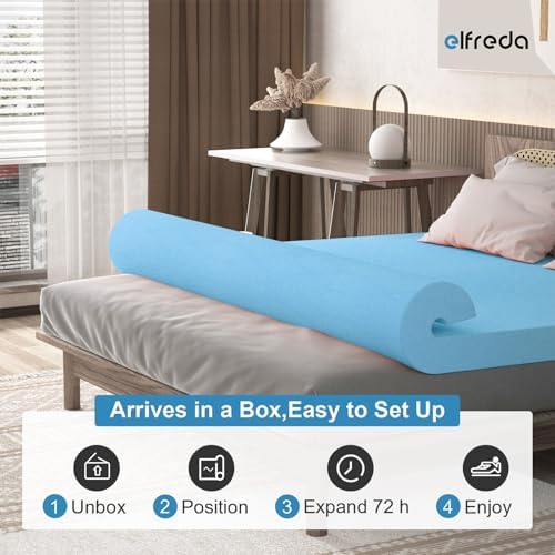 Elfreda 3 Inch Twin Mattress Topper for Pressure Relief