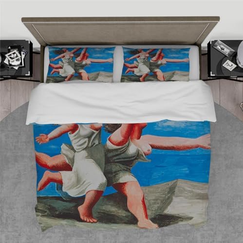 HOBBOY Microfiber Duvet Cover Set 3 pcs Picasso Aesthetic Twin XL